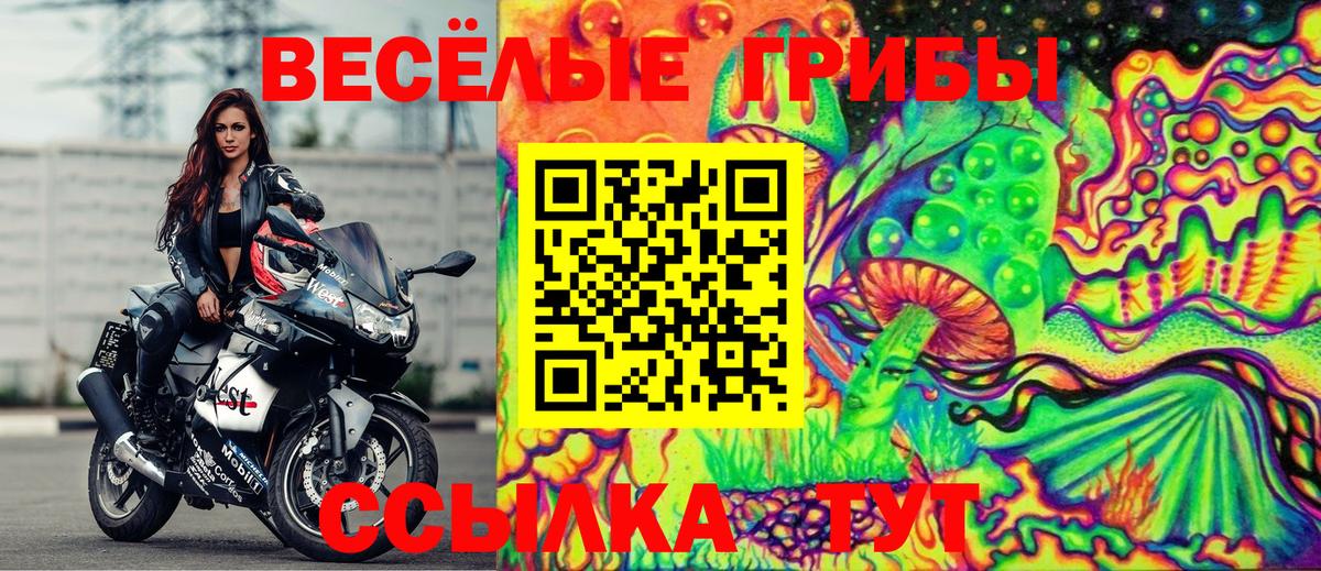 где купить наркоту  Псилоцибиновые грибы Psilocybine cubensis  Вход с VPN  Осинники 